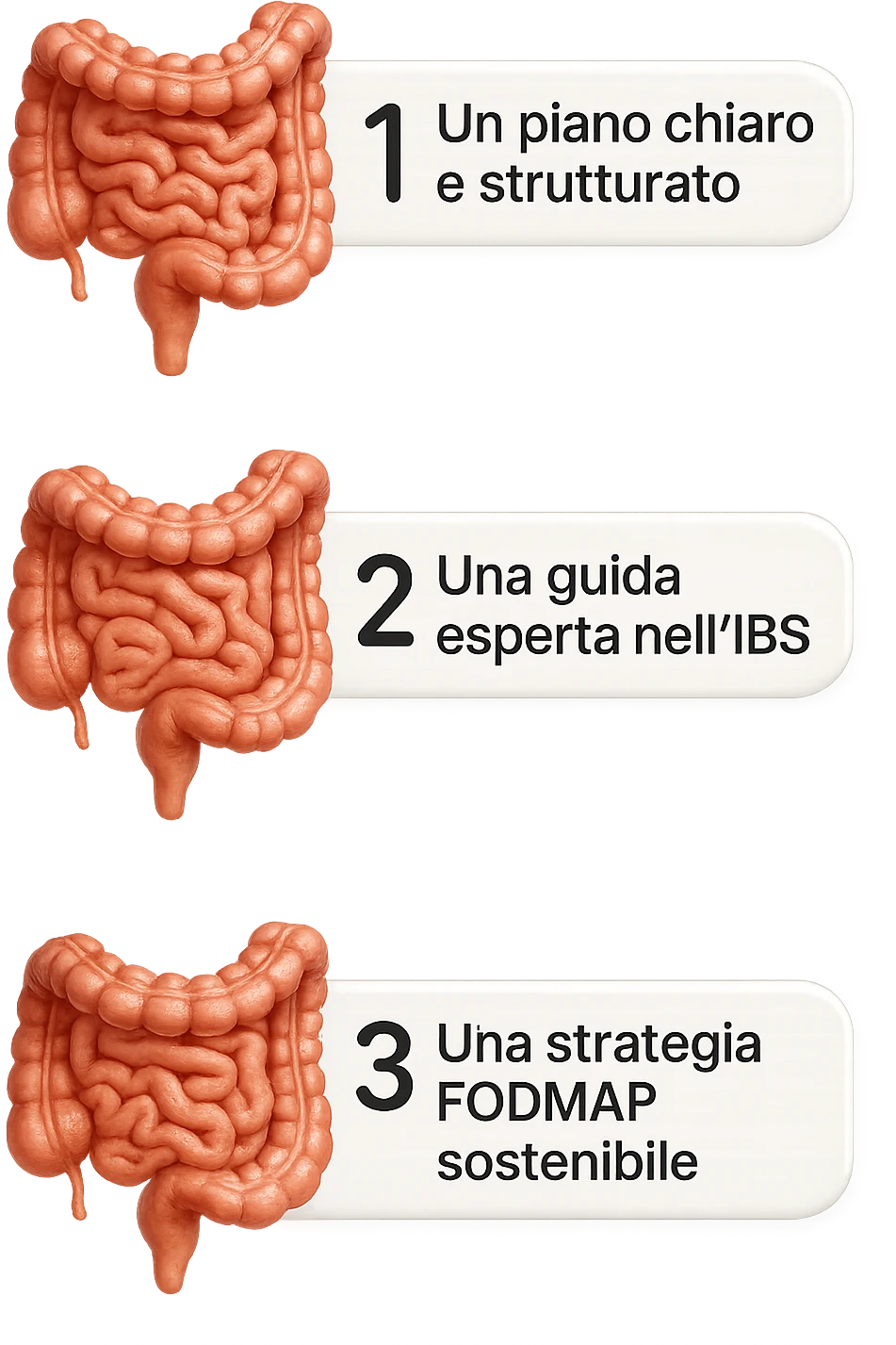 emoji stile iphone di 3 targhette numerate con intestino realistico davanti ad ogni targhetta, le targhette sono:
"1 – Un piano chiaro e strutturato
2 – Una guida esperta nell’IBS
3 – Una strategia FODMAP sostenibile"
, iperrealistico 4k emoji