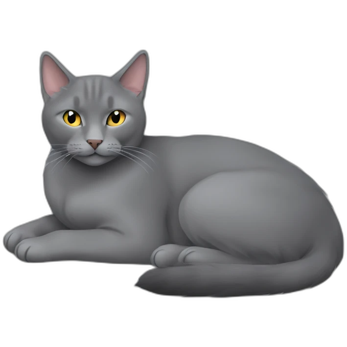 fluffy grey korat breed cat sleeping female emoji