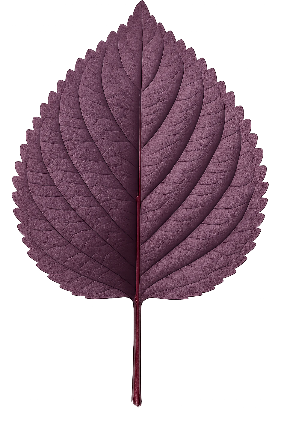purple leaf , remove background emoji