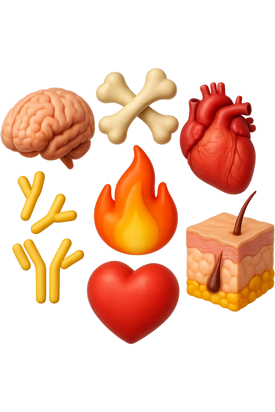 EMOJI STILE IPHONE 3D DI cervello, ossa, cuore, porzione di epidermide e cellule di anticorpi che girano in tondo, al centro di questi elementi c'è una fiamma 3d  FALLO MOLTO REALISTICO IN 3D emoji