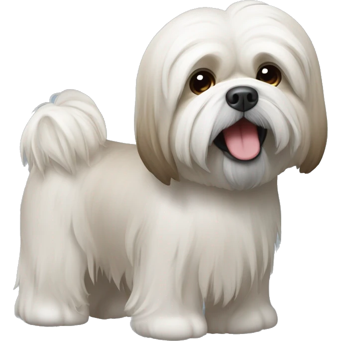 Mach einen Lhasa Apso.. also dass man sein Gesicht sieht.. seine Grundfarbe ist weiß mit wenigen hellbraunen Flecken emoji