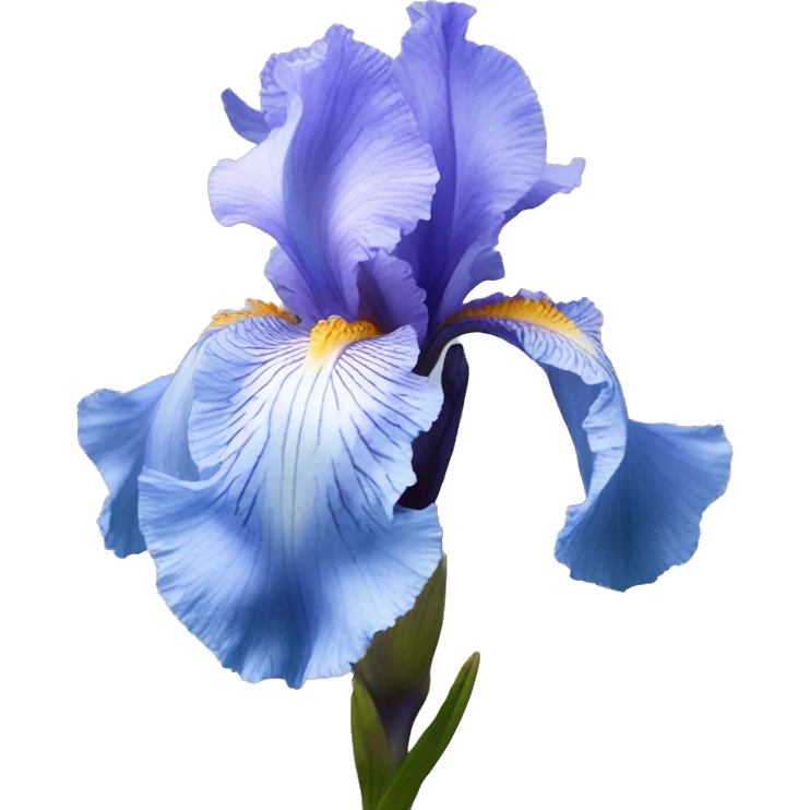 Light blue Bearded Iris flower emoji