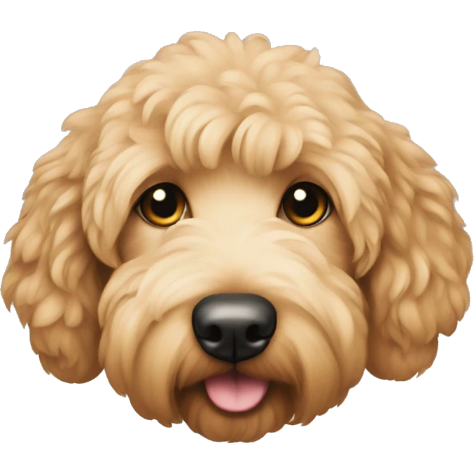 goldendoodle  emoji