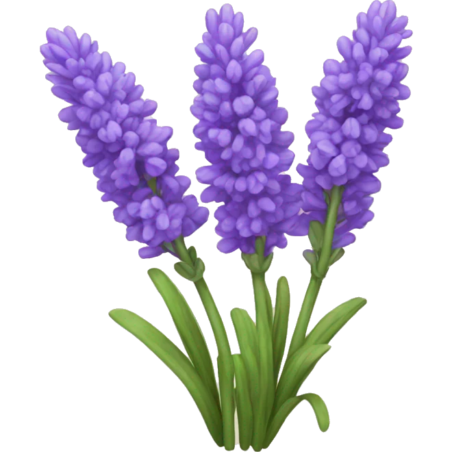Lavender  emoji