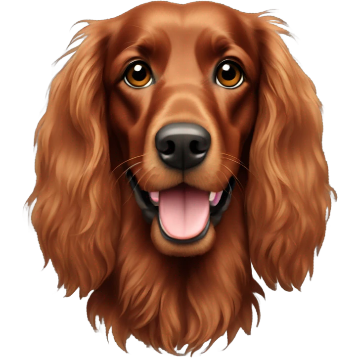 irish setter  emoji