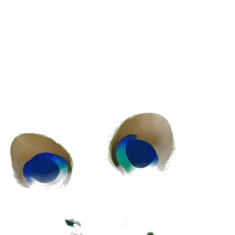 peacock feather emoji