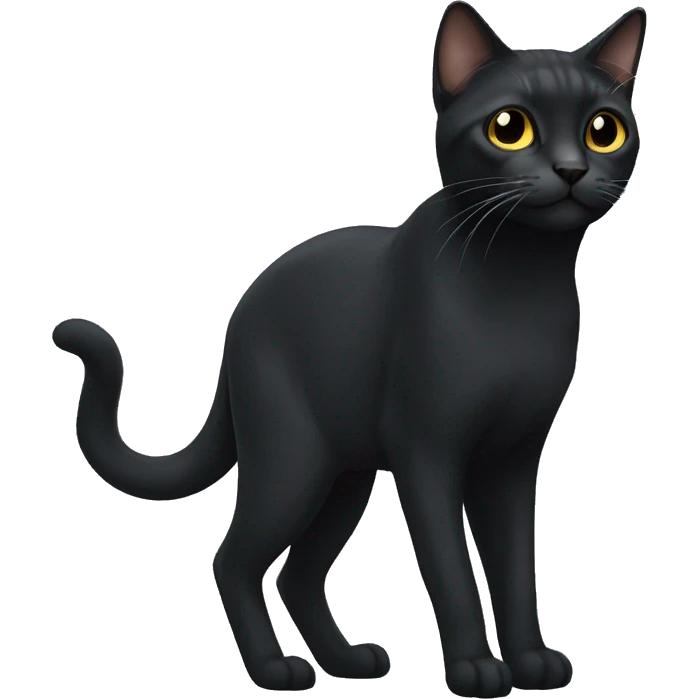 Black çat emoji
