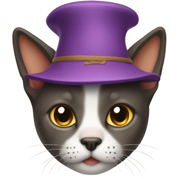 Cat wearing a dog hat emoji
