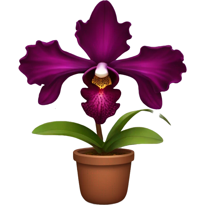 Dark red orchid emoji