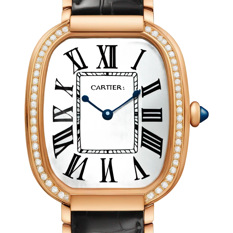 Cartier watch emoji