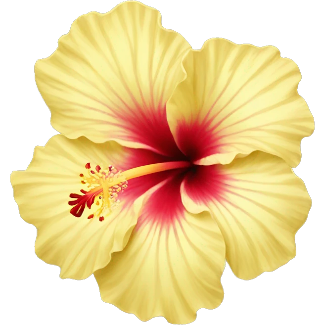 light yellow hibiscus emoji