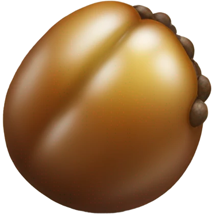longan emoji