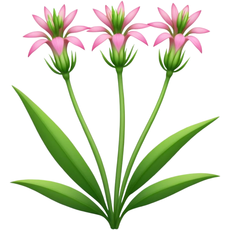 Helonias Bullatas emoji