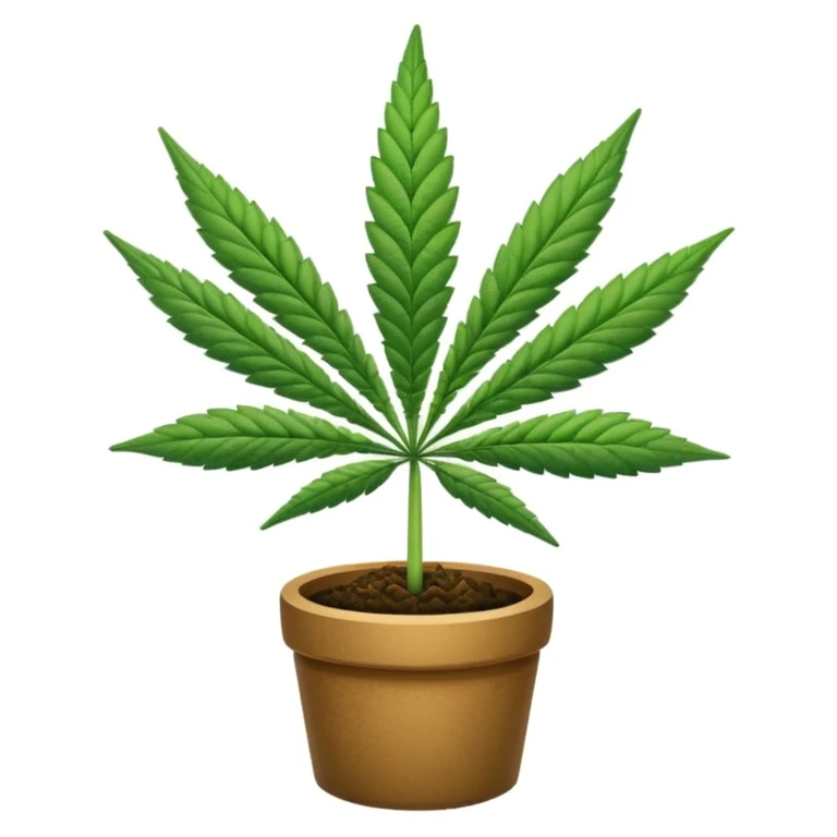 Cannabis  emoji