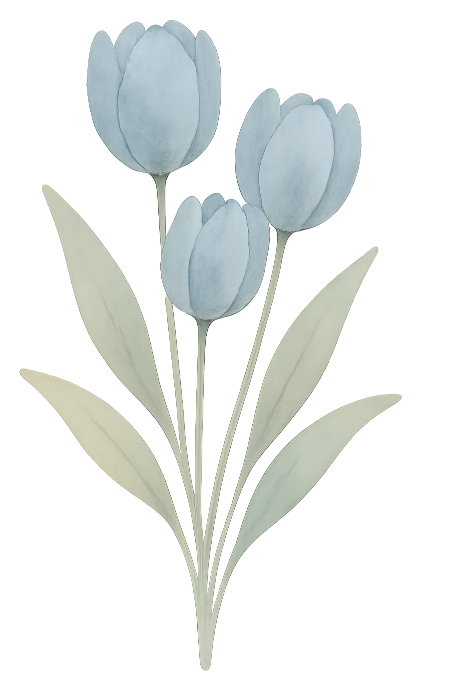 blue tulip bouquet, watercolor style, transparent background emoji