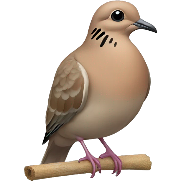 Zenaida Dove  emoji