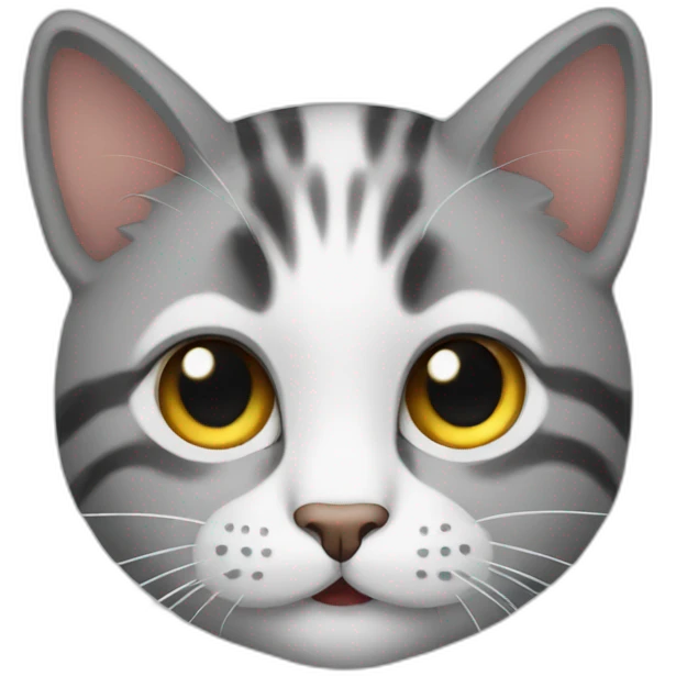 cat ok gesture emoji