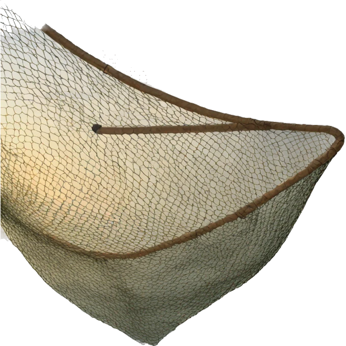 fishing net emoji