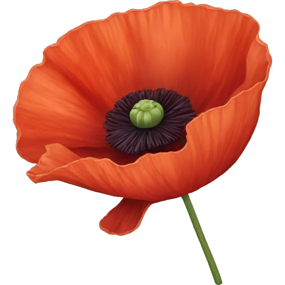 Poppy flower  emoji