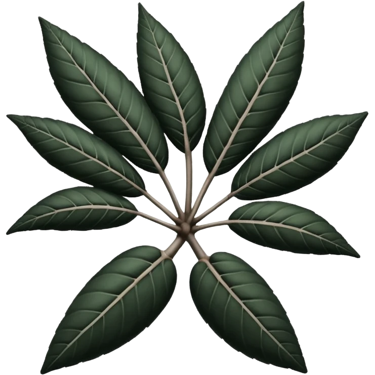 



cassava root black and white emoji