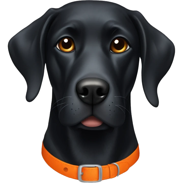 Black lab with orange collar emoji