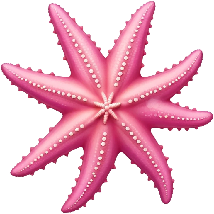 pink starfish no face  emoji