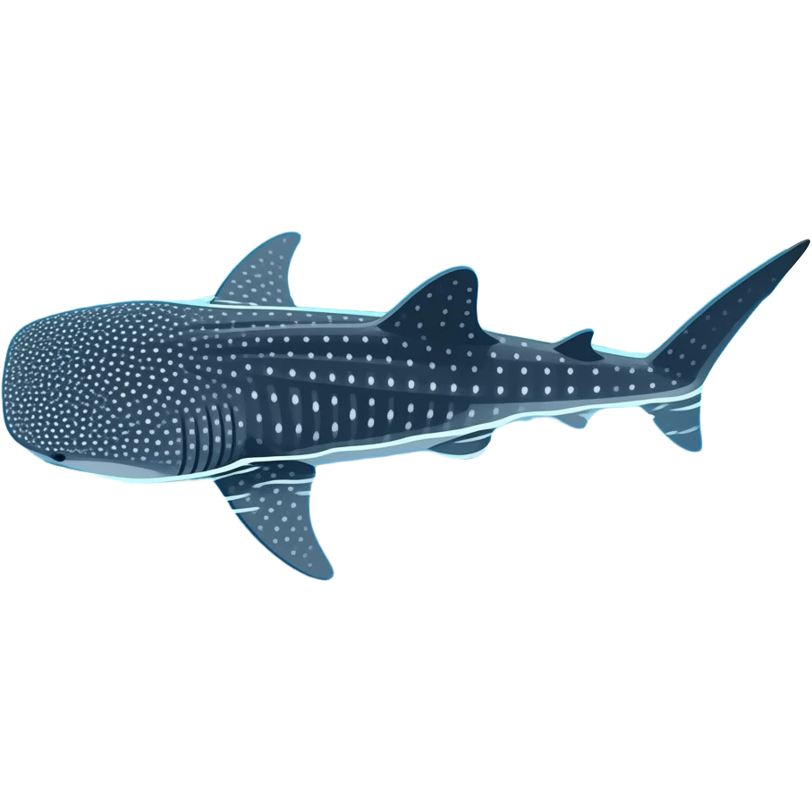 A real whale shark view from above with a big head swimming left emoji