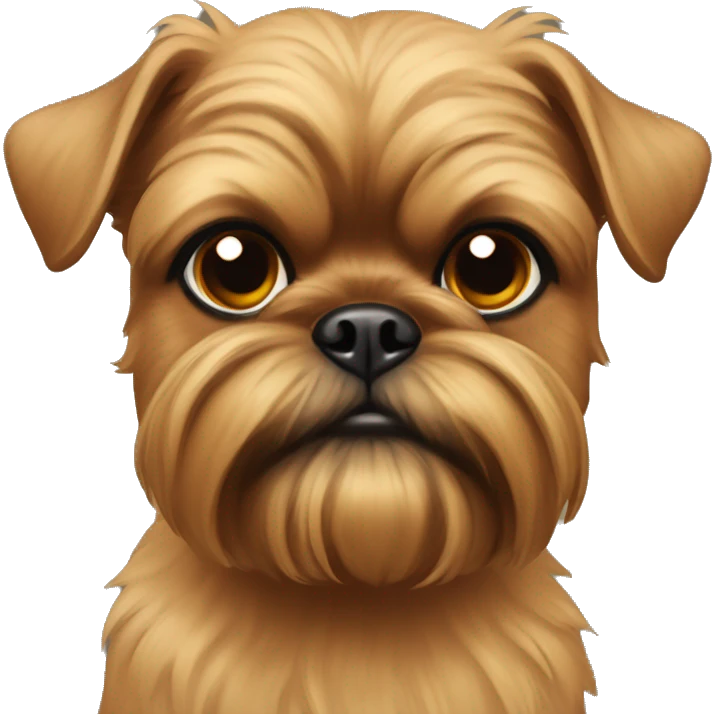 Tan Brussels griffon looking at viewer emoji