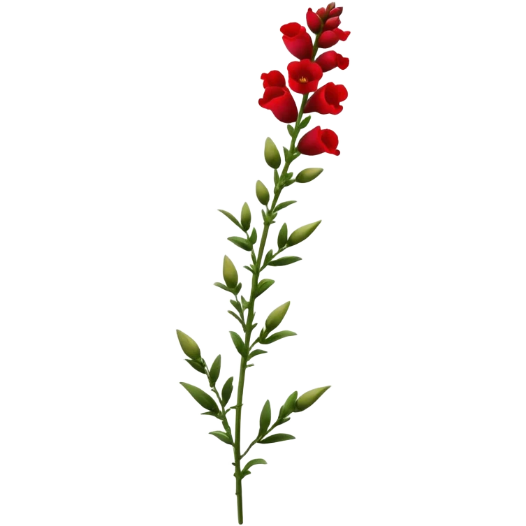 single red Snapdragon, straight stem emoji