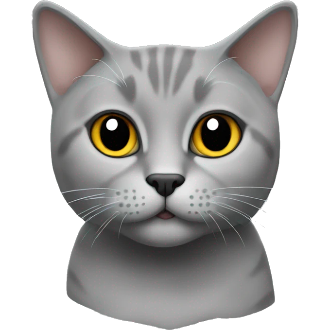 British short hair cat grey emoji