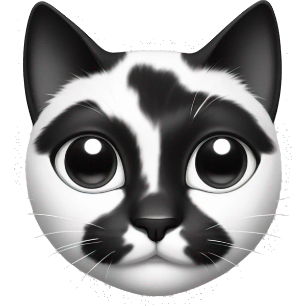 Black and white cat, black dots on left and right ears and only one(right) eye emoji