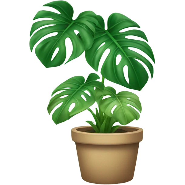 Monstera plant emoji