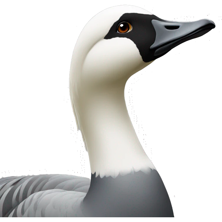montclair geese emoji