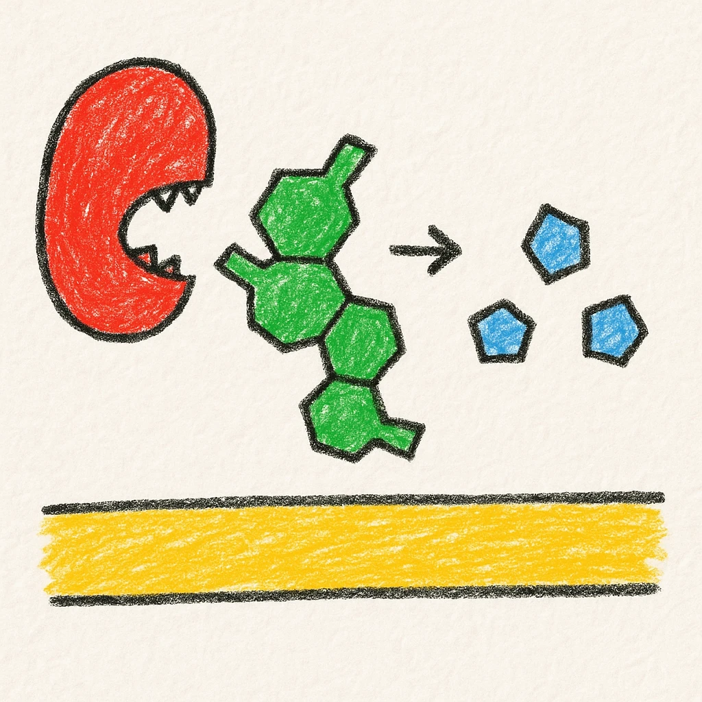 Ultra-detailed illustration of enzyme digestion: Red amylase breaking green starch into sugars near a yellow cell membrane. Clean white background, no text. Scientific but simple emoji