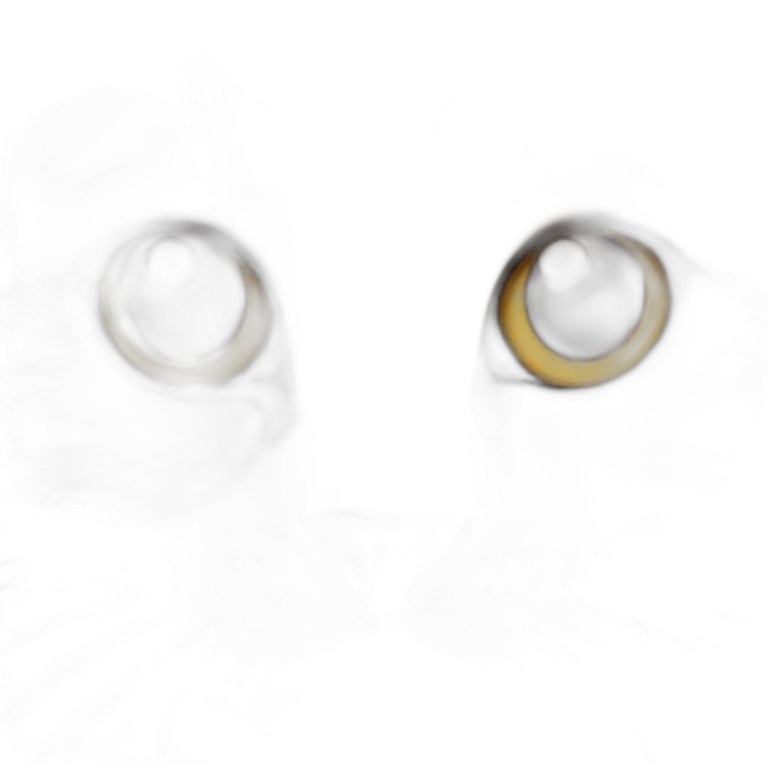 cat emoji