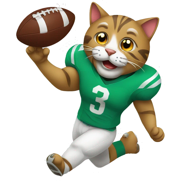 cat playing football emoji