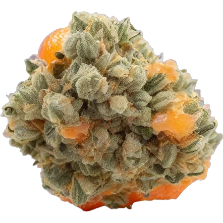 Blood orange Limonade Haze cannabis nug emoji