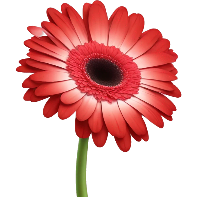 Red Gerberas flowers emoji