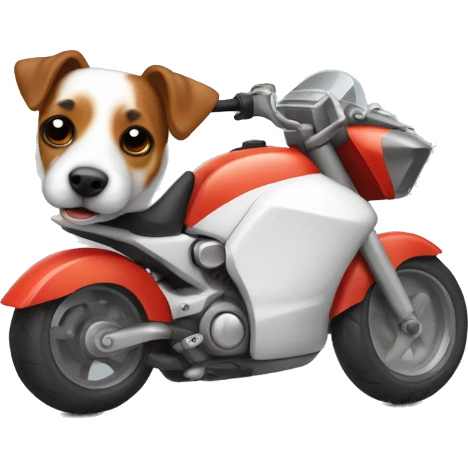 Jack russell encimade una moto con un casco puesto emoji