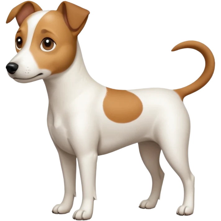 a full body white jack russel looking dog the size of a kelpie with light brown ears and a light brown patch on one eye and a large snout emoji