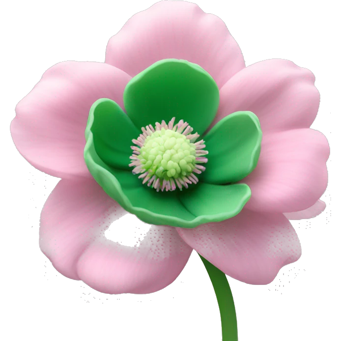 light pink anemone flower with green center emoji