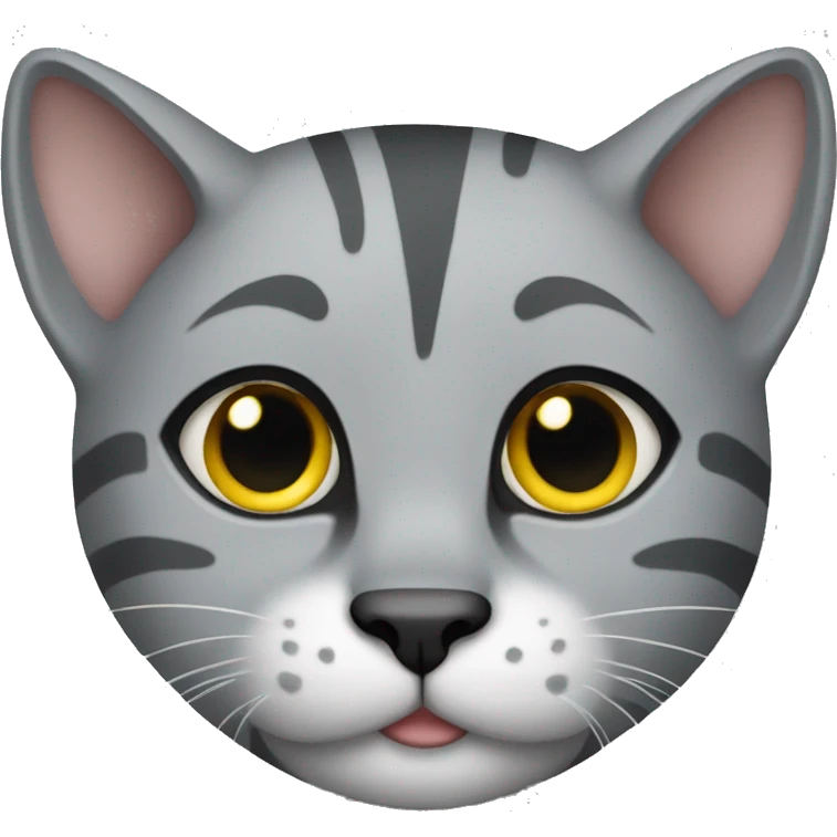 Grey bangle cat  emoji