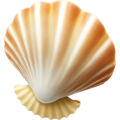 Seashell emoji