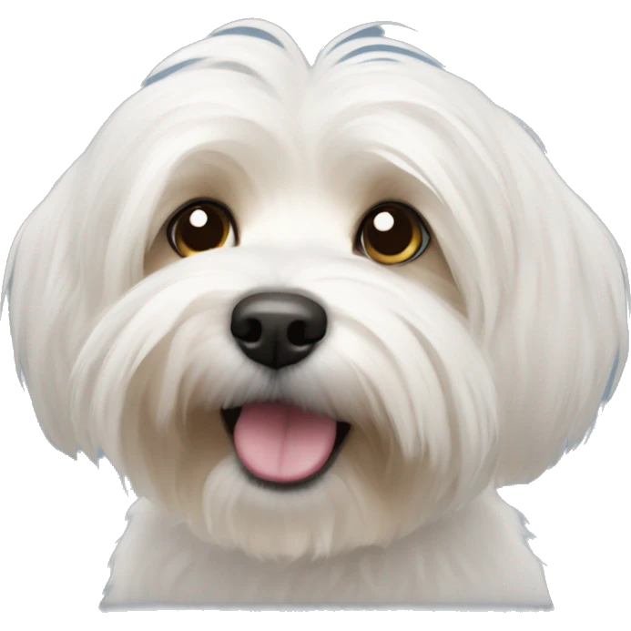 Havanese emoji