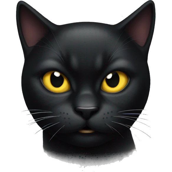 A black cat with an angry expression emoji