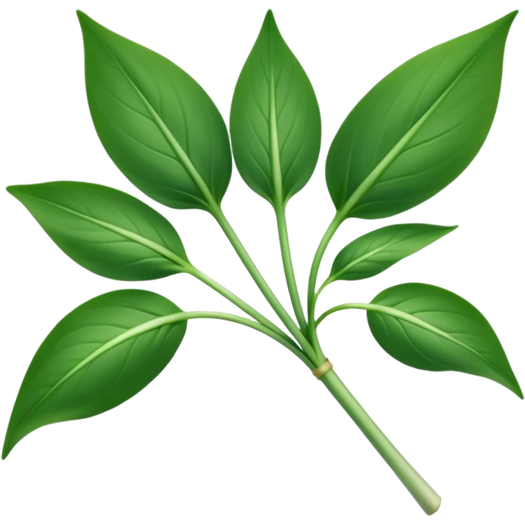 single sprig or small cluster of wild garlic leaves with smooth, elongated, lance-shaped blades, rich vibrant green color, soft central veins, fresh slightly glossy surface, gently arching from slender stems, no roots, no soil, no extras, apple emoji style, soft lighting, subtle shadows, emoji scale emoji