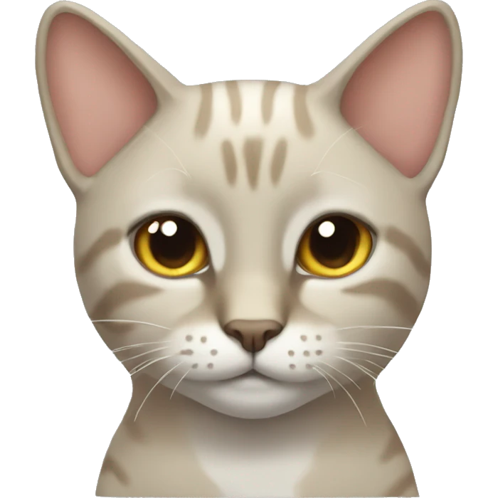Gato emoji