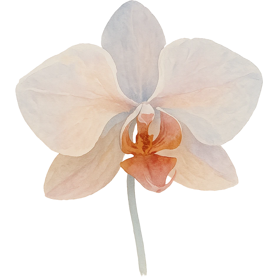 close-up of a detailed orchid, soft color transitions, intricate petal textures, expressive form, watercolor art style emoji