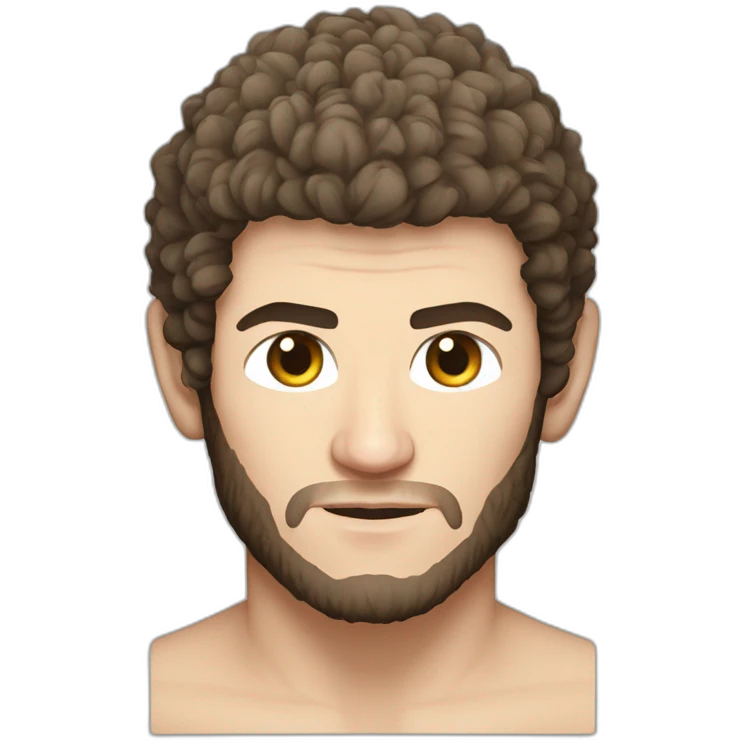 khabib nurmagomedov emoji