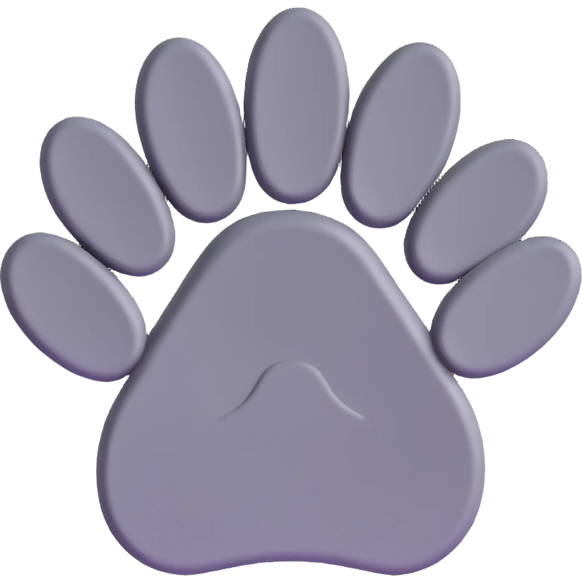 Create an isolated 3D style paw of the gray IT cat from the reference image, with no background, focusing on the paw details and texture in 3D. emoji